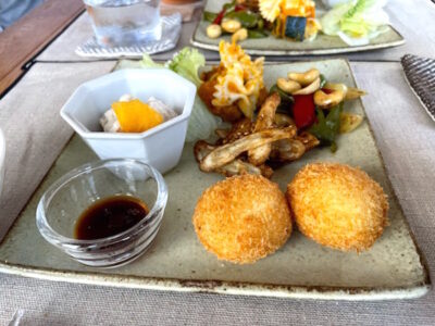 住宅地の高台に潜むオーガニックカフェ Hessorganica ヘッソオルガニカ に行ってみた 愛知 岡崎