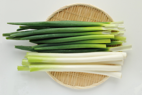 旬の食材シリーズ 冬 甘みたっぷり鍋に美味しい深谷ねぎ 埼玉