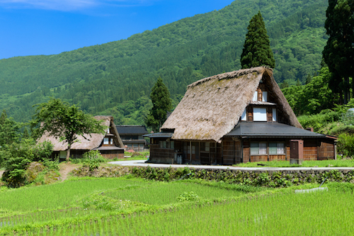 つまづくと怪我するほど硬い 煮崩れしない五箇山豆腐 富山